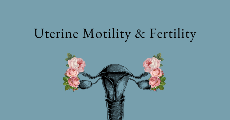 Uterine Peristalsis And Abdominal Massage Nurturance